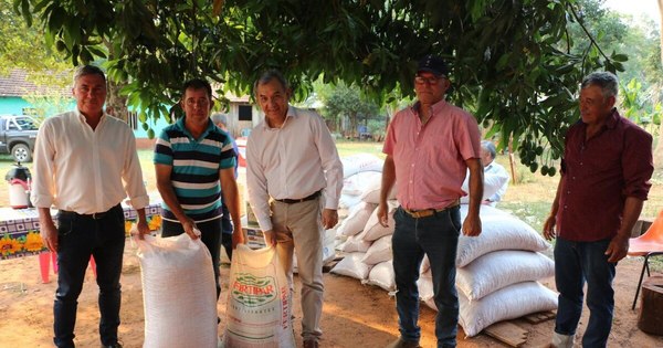 La Nación / Diversifican rubro de la agricultura familiar con cultivo de maní en Itapúa