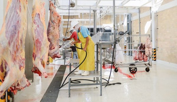 Chile rehabilitó el mercado para la carne bovina de Colombia