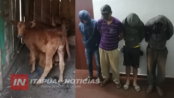 AGENTES DE BRIGADA ANTIABIGEATO RECUPERAN ANIMALES VACUNOS EN CNEL. BOGADO