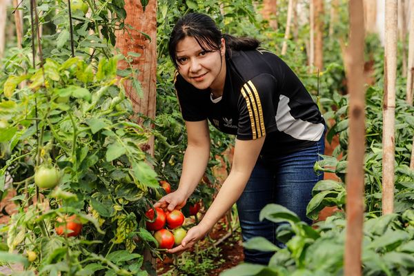 MDS inyectará casi 7.000 millones de guaraníes a emprendimientos de Tenonderã | .::Agencia IP::.