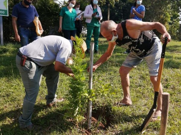 Entregan semillas de crotalaria para combatir al Aedes