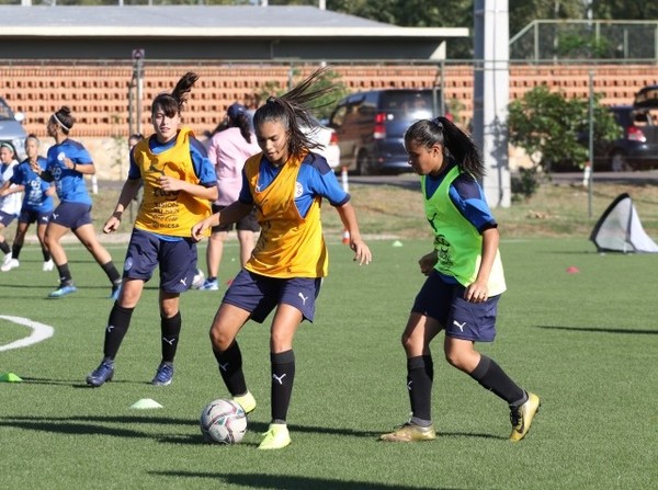 Se intensifica en la parte técnica - APF