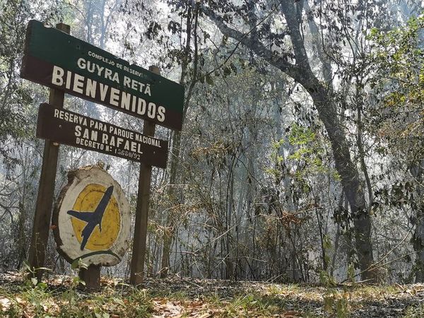 Arde el norte de Itapúa - Nacionales - ABC Color