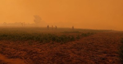 La Nación / Arde Reserva San Rafael: tras publicación, SEN responde con contingente de ayuda