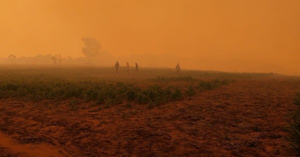 La Nación / Arde Reserva San Rafael: tras publicación, SEN responde con contingente de ayuda
