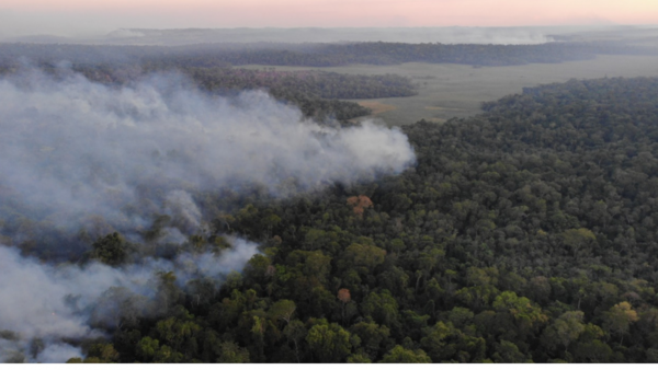 Incendios forestales en parque San Rafael siguen descontrolados
