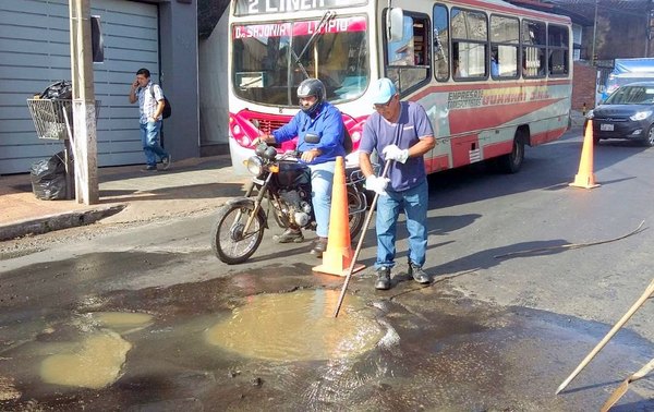 Crónica / COSA DE PUERCOS ¡Hasta placentas nio se tiran a la cloaca!
