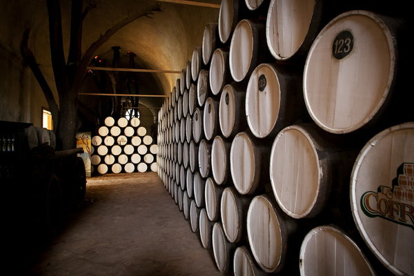 Gobierno mexicano anuncia plan de "enérgica defensa" del tequila en Europa - MarketData