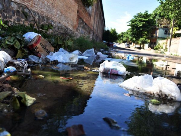 Al repunte de coronavirus se suman los casos de dengue