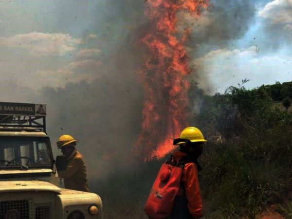 Reserva San Rafael  arde en llamas pese al esfuerzo de los bomberos