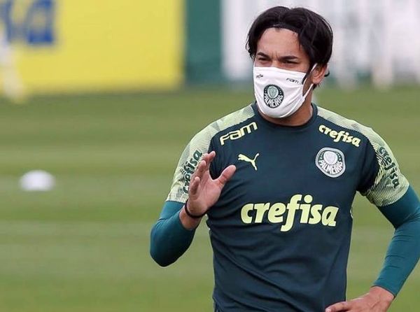 Delfín juega contra el disminuido Palmeiras - Fútbol - ABC Color