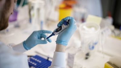 Médico paraguayo integra equipo de desarrolladores de vacuna contra el Covid en Australia » Ñanduti