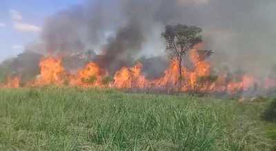 Incendio en el Cerro León sigue incontrolable - Noticiero Paraguay