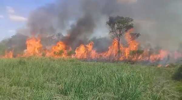 Incendio en el Cerro León sigue incontrolable - Noticiero Paraguay