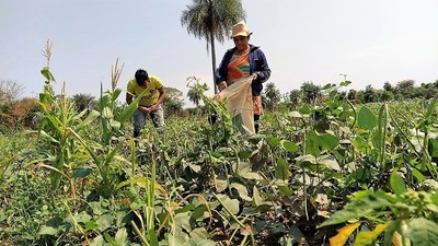 Provechosos préstamos del CAH sustentan a pequeñas empresas y la agricultura familiar campesina - La Mira Digital