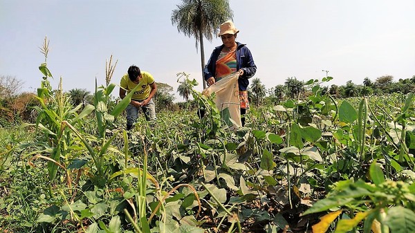 Provechosos préstamos del CAH sustentan a pequeñas empresas y la agricultura familiar campesina - La Mira Digital