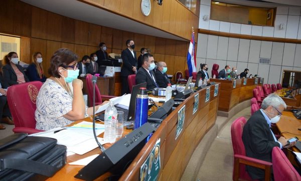 Senado aprueba por unanimidad modificaciones del PGN 2021