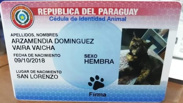Crónica / Vaira Vaicha ya tiene cédula ¿y tu mascota?