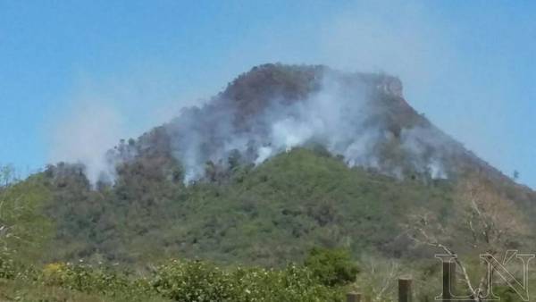 Se incendia una parte del Ybyturuzu – Prensa 5