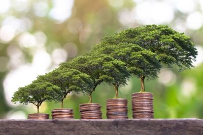 BCP se suma a red de Bancos Centrales que se enfocan en la economía sostenible - MarketData