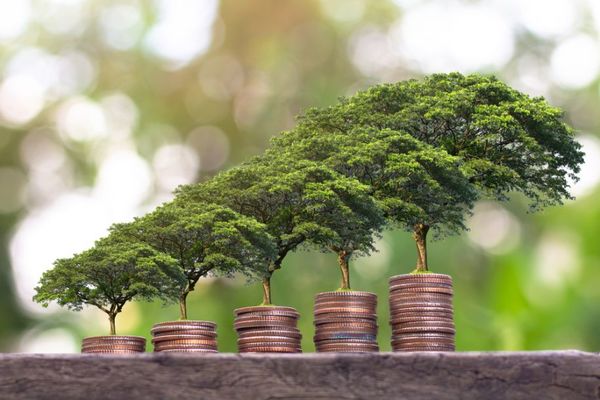 BCP se suma a red de Bancos Centrales que se enfocan en la economía sostenible - MarketData