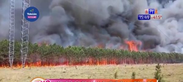 Incendio de gran magnitud en zona de hidroeléctrica Yacyretá | Noticias Paraguay
