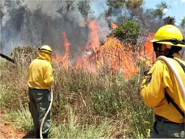 Incendios forestales de gran magnitud en Misiones e Itapúa