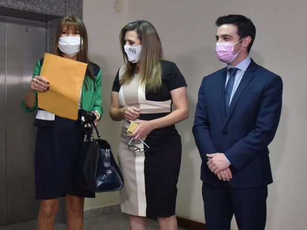 Corte da trámite a acción de inconstitucionalidad planteada por Celeste Amarilla