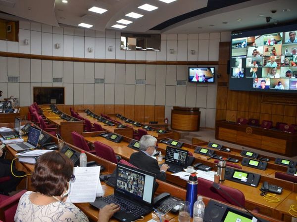 Senado aprueba con modificaciones PGN 2021 de G. 92,48 billones