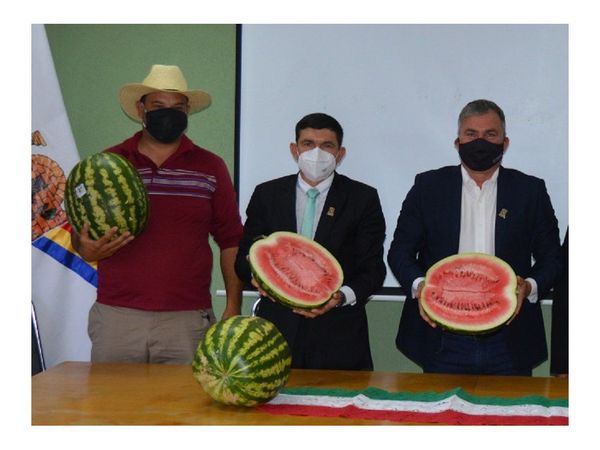 Harán la primera Feria de Sandía en San Pedro del Paraná