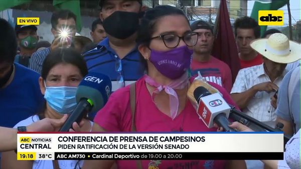 Campesinos continuarán con marchas en Asunción - ABC Noticias - ABC Color