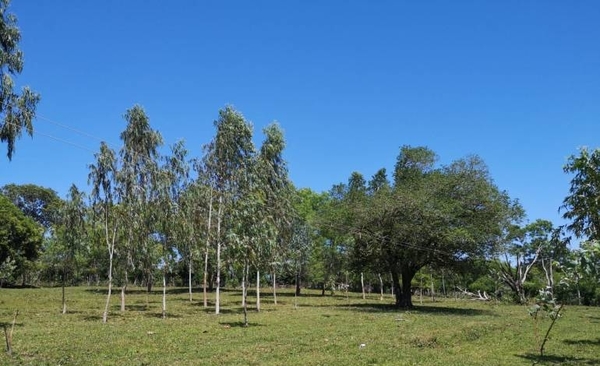 HOY / Pedirán condena para acusados de invadir inmueble en Mauricio José Troche
