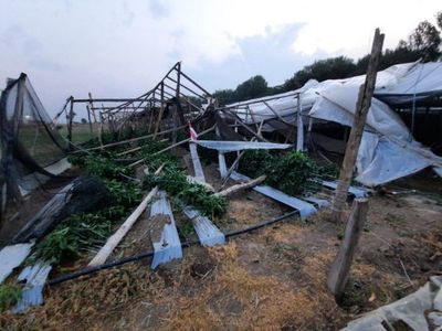 Tormenta seca perjudicó a productores de Misiones