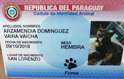 Crónica / Cédula para peluditos es la nueva moda ra’e
