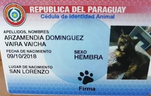 Crónica / Cédula para peluditos es la nueva moda ra’e