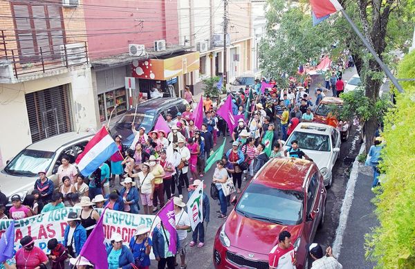 Diputados aprueban US$ 25 millones para MAG y reducen transferencias - Nacionales - ABC Color