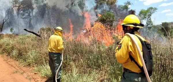 Precipitaciones en Ayolas permitieron controlar la propagación de los incendios, señalan » Ñanduti