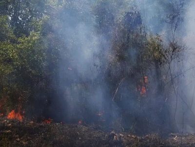 Controlan focos de incendio en la isla Yacyretá · Radio Monumental 1080 AM