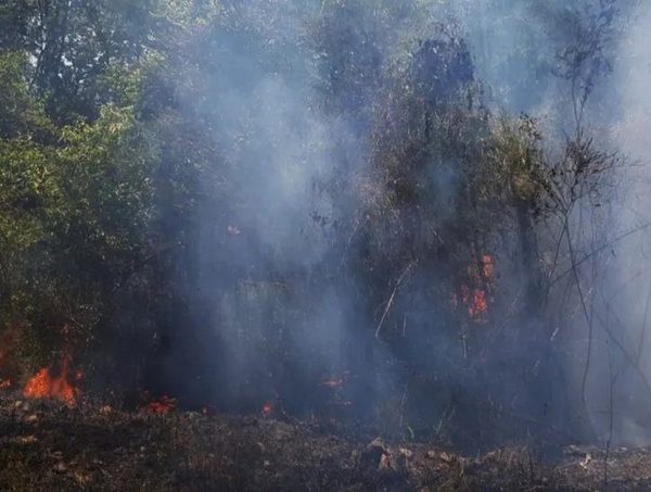 Controlan focos de incendio en la isla Yacyretá · Radio Monumental 1080 AM