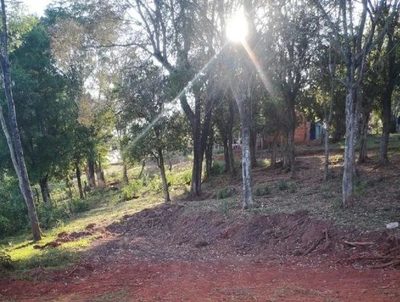 Adolescente herido en cumpleaños sigue con proyectil en el cuerpo · Radio Monumental 1080 AM