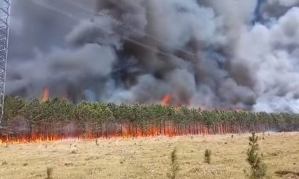 Lluvias ayudaron a aplacar incendios en Misiones