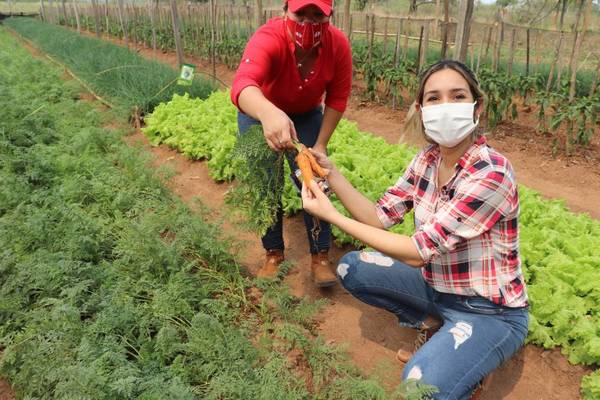 El campo fue un protector social que complementó el rol del Estado en la pandemia, señalan