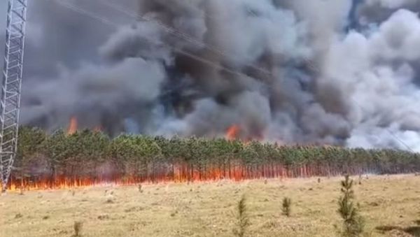 Lluvias ayudaron a aplacar incendios en Misiones