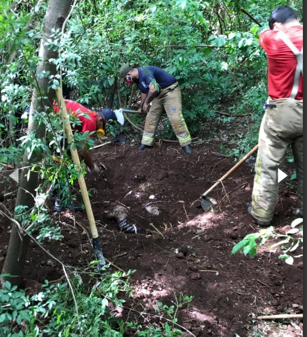 CUATRO CADÁVERES HALLADOS EN FOSA COMÚN