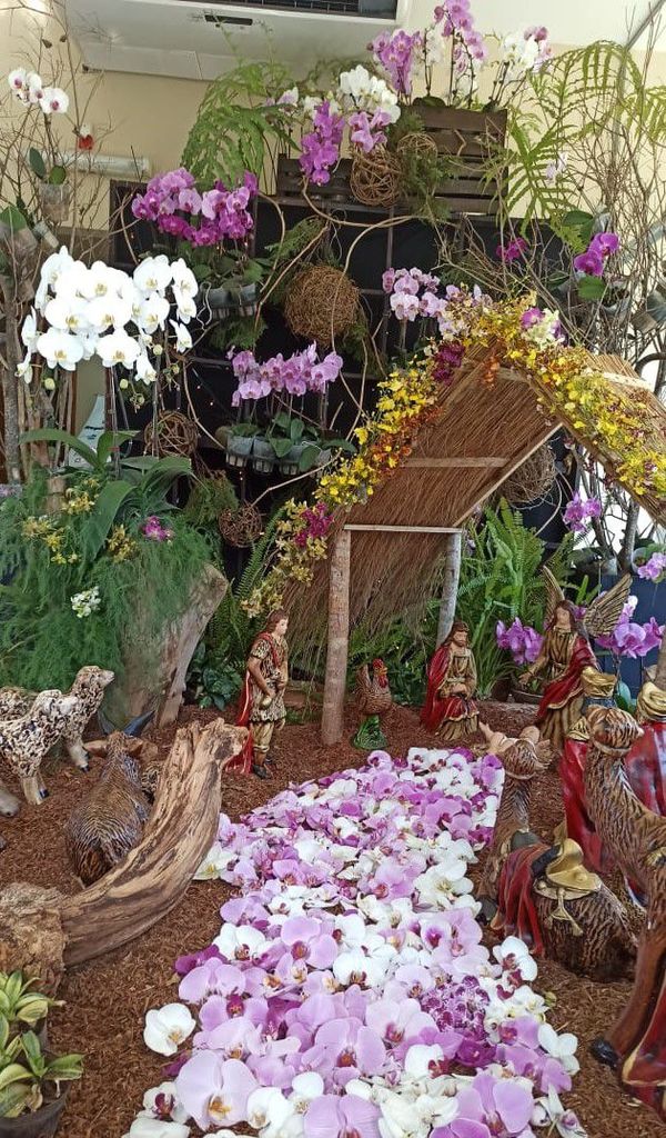 Cinco mil orquídeas junto al pesebre paraguayo - Nacionales - ABC Color