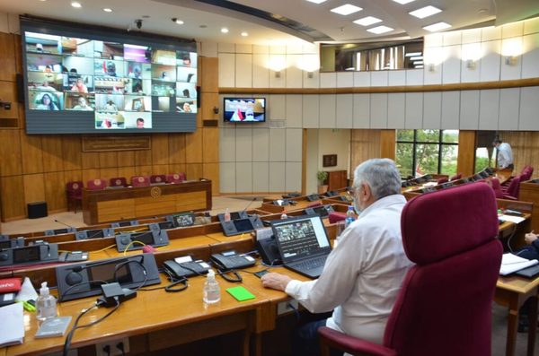 Senadores levantan veto de Mario Abdo sobre transferencia de fondos sociales al PGN 2021 | OnLivePy