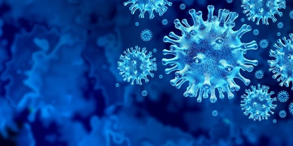 HOY / Así logra el coronavirus sobrevivir durante días en las superficies