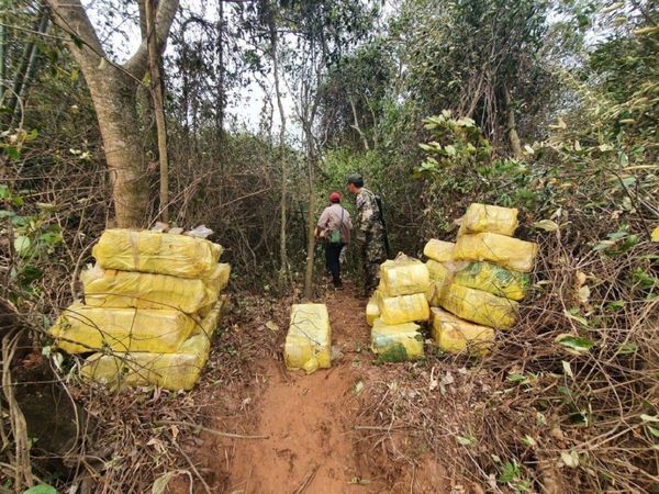 En procedimiento por veda pesquera incautan marihuana