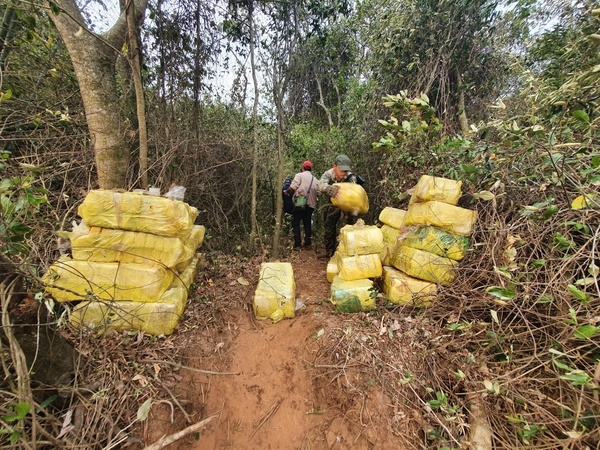 Hallan 1.200 kilos de marihuana a orillas del Paraná - El Trueno