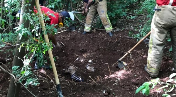 Hallan cuatro cadáveres enterrados en Pedro Juan